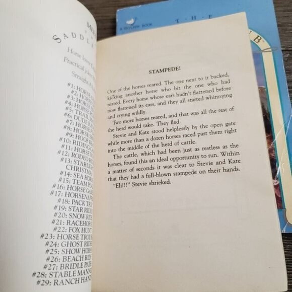 Vintage 90s The Saddle Club BY Bonnie Bryant #29 #20 Book Bundle - Picture 8 of 12